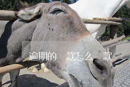 逾期的貸款怎么還款