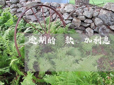 逾期的貸款還加利息嗎(利息逾期還能貸款嗎)
