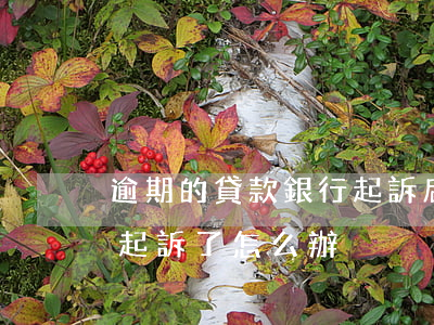 逾期的貸款銀行起訴后(信用貸款逾期了銀行起訴了怎么辦)
