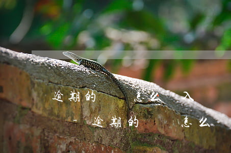 逾期的賬單怎么還入對應(yīng)的賬單-逾期的賬單怎么還入對應(yīng)的賬單里