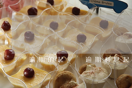 逾期的起訴狀(逾期利息起訴狀)