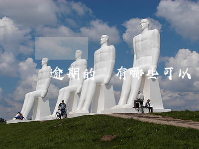 逾期的還有哪些可以貸款(逾期的還有可以貸嗎)