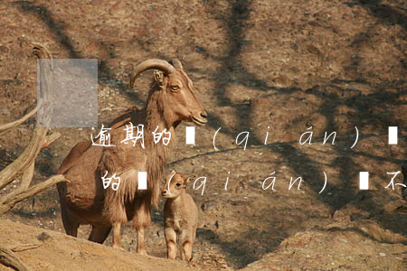逾期的錢(qián)還不上怎么辦-逾期的錢(qián)還不上怎么辦呢