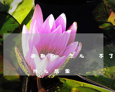 逾期的錢怎么還不了了(如果錢還不上逾期了什么后果)