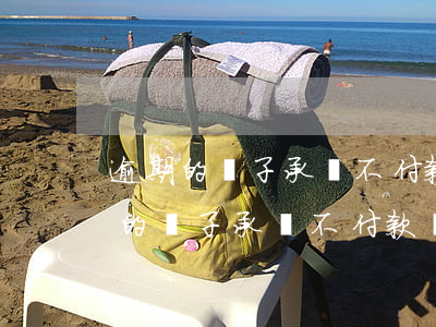 逾期的電子承兌不付款還能退回去嗎-逾期的電子承兌不付款還能退回去嗎安全嗎