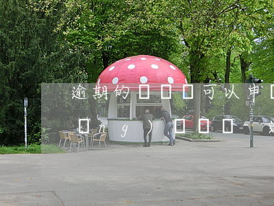 逾期的駕駛證可以申請(qǐng)網(wǎng)約車嗎-逾期的駕駛證可以申請(qǐng)網(wǎng)約車嗎