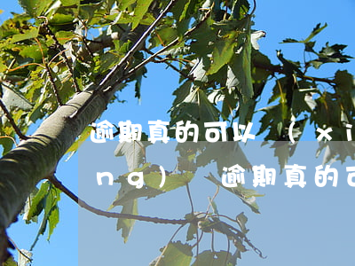 逾期真的可以協(xié)商嗎-網(wǎng)貸逾期真的可以協(xié)商嗎