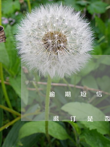 逾期短信上的退回t是什么意思-逾期短信退订是否真实
