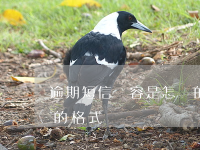 逾期短信內容是怎樣的 逾期短信內容是怎樣的格式