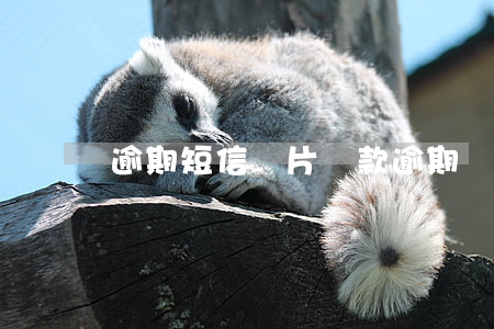 逾期短信圖片(貸款逾期圖片高清圖 短信)