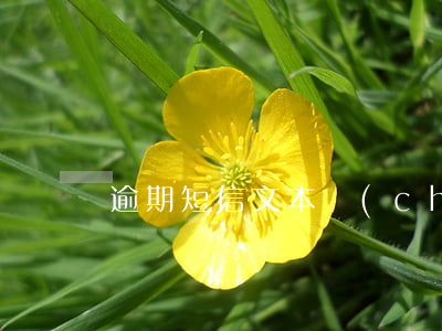 逾期短信文本(車(chē)貸逾期短信文本)