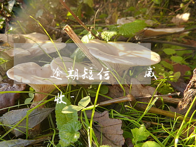逾期短信說華威輕資產(chǎn)上門催收-
