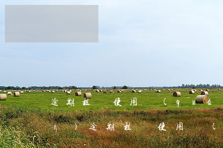 逾期租賃使用權(quán)資產(chǎn)(逾期租賃使用權(quán)資產(chǎn)包括)