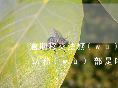 逾期移交法務(wù)部是啥意思(逾期移交法務(wù)部是啥意思)
