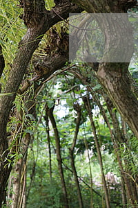 逾期稅務(wù)變更營(yíng)業(yè)執(zhí)照經(jīng)營(yíng)范圍-逾期稅務(wù)變更營(yíng)業(yè)執(zhí)照經(jīng)營(yíng)范圍怎么辦