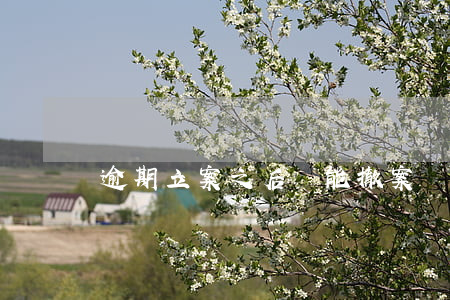 逾期立案之后還能撤案嗎(立案了還可以撤訴嗎)