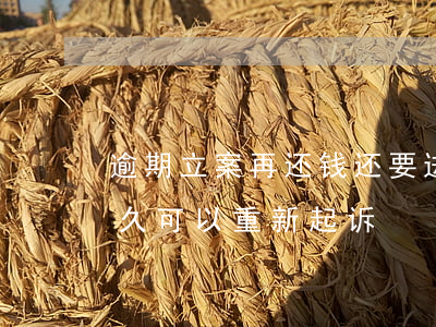 逾期立案再还钱还要进去多少天（还钱逾期多久可以重新起诉）