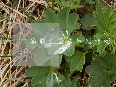 逾期立案告知短信(短信收到逾期通告)