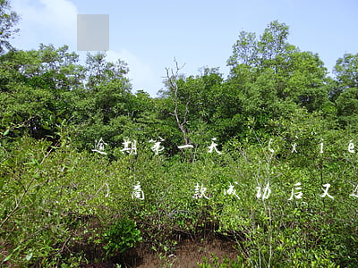 逾期第一天協(xié)商還款(協(xié)商還款成功后又逾期一天)