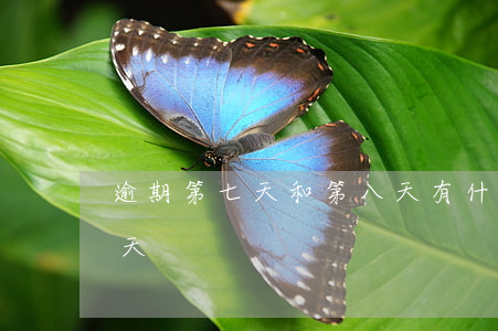 逾期第七天和第八天有什么区别吗-逾期7天