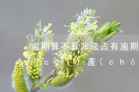 逾期算不算非法占有 逾期算不算非法占有財(cái)產(chǎn)
