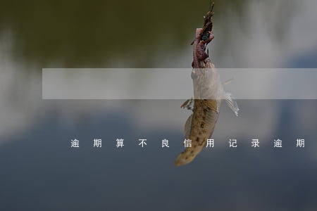 逾期算不良信用记录(逾期算不良信用记录吗)