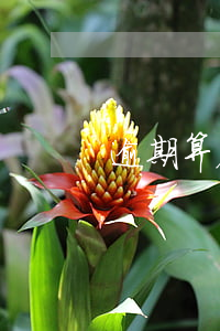 逾期算表内 逾期如何计算