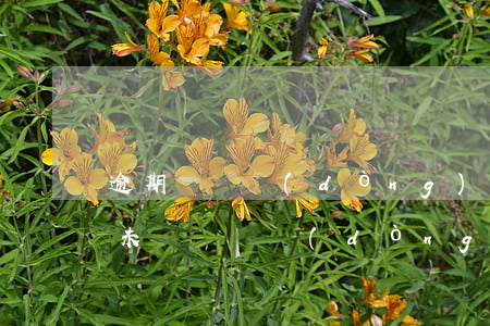 逾期簽勞動(dòng)合同怎么賠償(逾期未簽訂勞動(dòng)合同的法律后果)