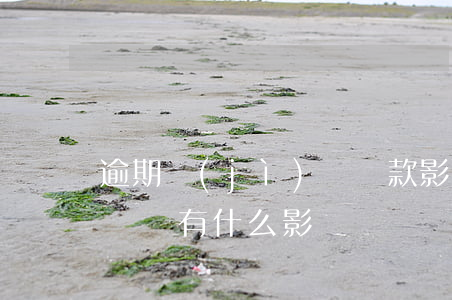 逾期紀(jì)錄貸款影響大嗎(還貸有逾期記錄有什么影響)