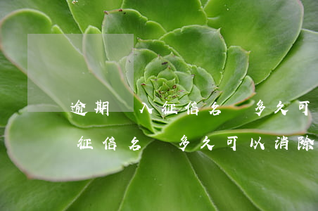 逾期納入征信名單多久可以消除-逾期納入征信名單多久可以消除記錄