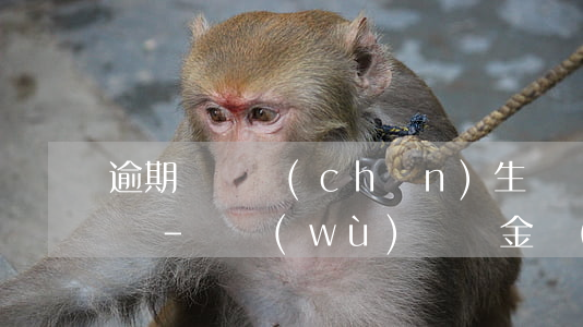 逾期納稅產(chǎn)生滯納金ipo影響-稅務(wù)滯納金對(duì)上市申報(bào)影響