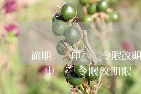 逾期納稅申報責令限改期限為幾天-逾期納稅申報責令限改期限為幾天