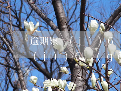 逾期累計(jì)6個(gè)月 逾期累計(jì)6個(gè)月會(huì)怎么樣