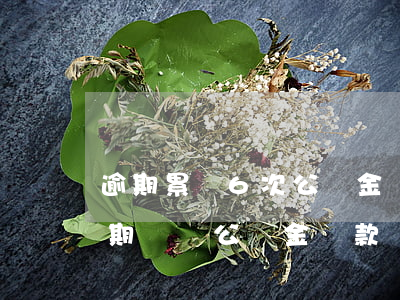 逾期累計6次公積金貸款算配偶嗎-6次逾期記錄公積金貸款