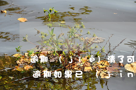 逾期結(jié)清了可以貸款嗎(銀行貸款逾期如果已經(jīng)結(jié)清了多久消除)