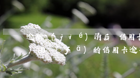 逾期結(jié)清后辦信用卡浦發(fā)(浦發(fā)的信用卡逾期之后還清了,卡還能用嗎)