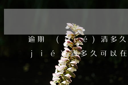 逾期結(jié)清多久可以在貸(逾期結(jié)清多久可以在貸款買房)