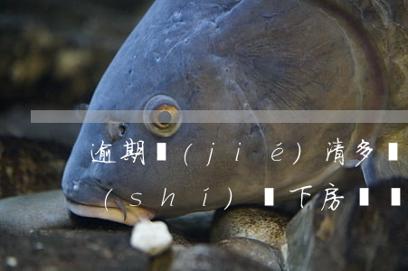 逾期結(jié)清多長(zhǎng)時(shí)間下房貸(銀行貸款逾期如果已經(jīng)結(jié)清了多久消除)