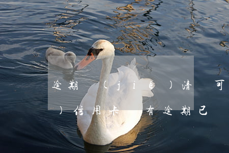 逾期結(jié)清還可以申請(qǐng)信用卡嗎(有逾期已還清可以辦信用卡嗎)