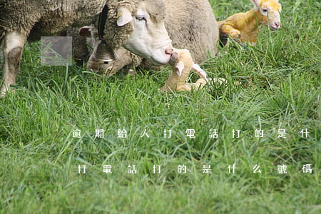 逾期給人打電話打的是什么號碼-逾期給人打電話打的是什么號碼啊