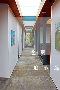 逾期給凍結(jié)的信用卡嗎(逾期的信用卡怎么解凍)