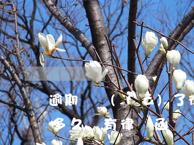 逾期給發(fā)了律師函多久上法庭(逾期多久會有律師函)