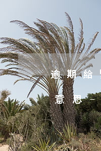 逾期給緊急聯(lián)系人寄手印什么意思-逾期給緊急聯(lián)系人打電話(huà)違法嗎