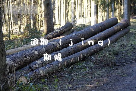 逾期經(jīng)偵凍結(jié)支付寶期限
