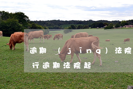 逾期經(jīng)法院判決執(zhí)行(逾期法院起訴)