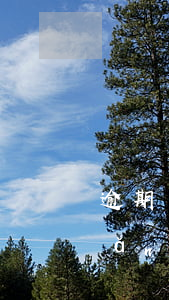 逾期網(wǎng)商貸9天的后果(網(wǎng)商貸最多逾期多少天)