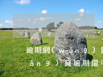 逾期網(wǎng)貸下款的口子嗎(網(wǎng)貸逾期還可以借錢的口子)