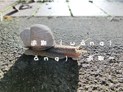 逾期網(wǎng)貸兩個月有事嗎(網(wǎng)貸逾期一兩天有沒有影響)