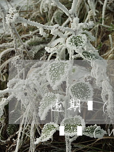 逾期網(wǎng)貸可以坐飛機(jī)嗎(網(wǎng)貸逾期坐飛機(jī)有影響嗎)