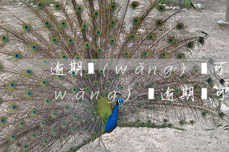 逾期網(wǎng)貸可以貸款買房嗎(網(wǎng)貸逾期還可以買房嗎)